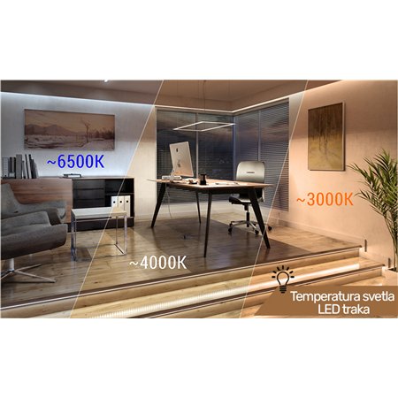 Led traka (kotur 5 metara)